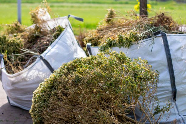 Best Affordable Junk Removal Services  in South San Jose Hills, CA