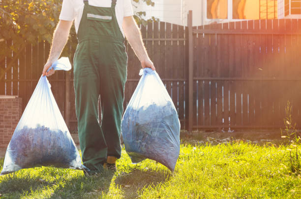 Best Dumpster Rental Services  in South San Jose Hills, CA